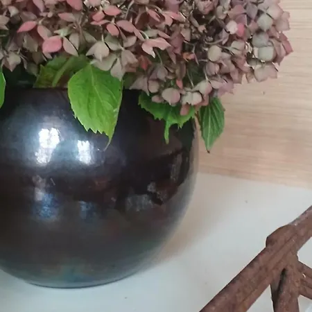 Appartement De Merte Appartement Caen