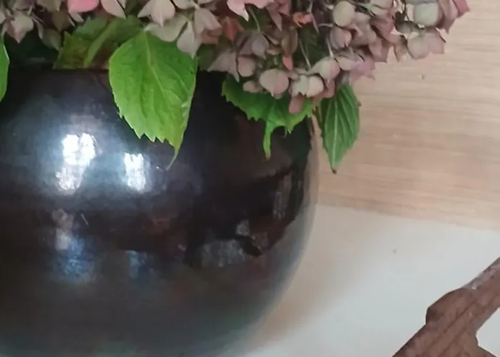 Appartement De Merte Lejlighed Caen